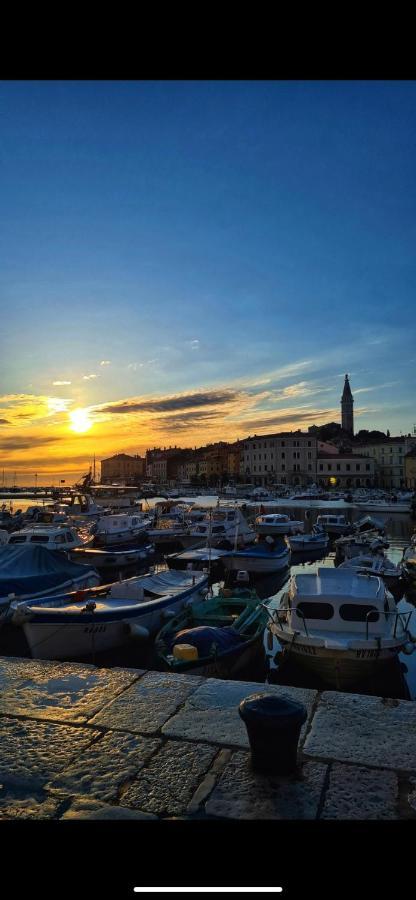 Apartments Hidden Paradise Rovinj Eksteriør bilde